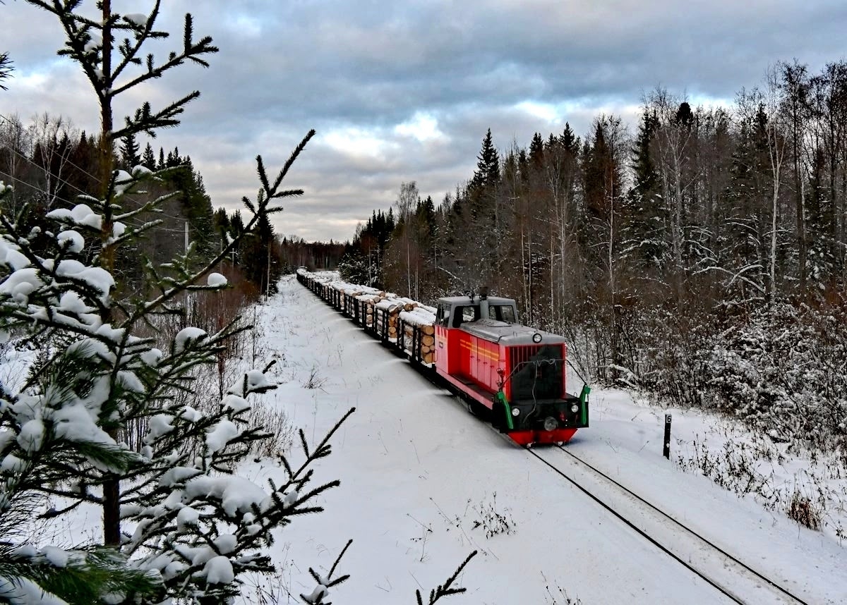 Тепловоз ТУ7-2386 с грузовым поездом, Алапаевская узкоколейная железная дорога, Свердловская область, 2025. Diesel locomotive TU7-2386 with a log train, Alapayevsk narrow-gauge railway, Sverdlovsk Oblast, 2025. Photo: Alapaevskayauzd. #Russia #TU7 #ужд #узкоколейка #АУЖД #ТУ7