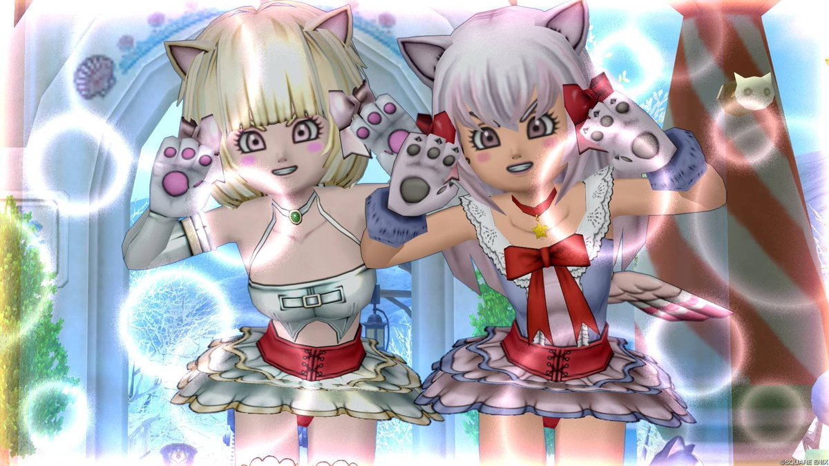 みにゃさまおはにとにゃん！(´ฅ•ω•ฅ｀)♡🐾 今日は日曜日っ！☀ にとよ