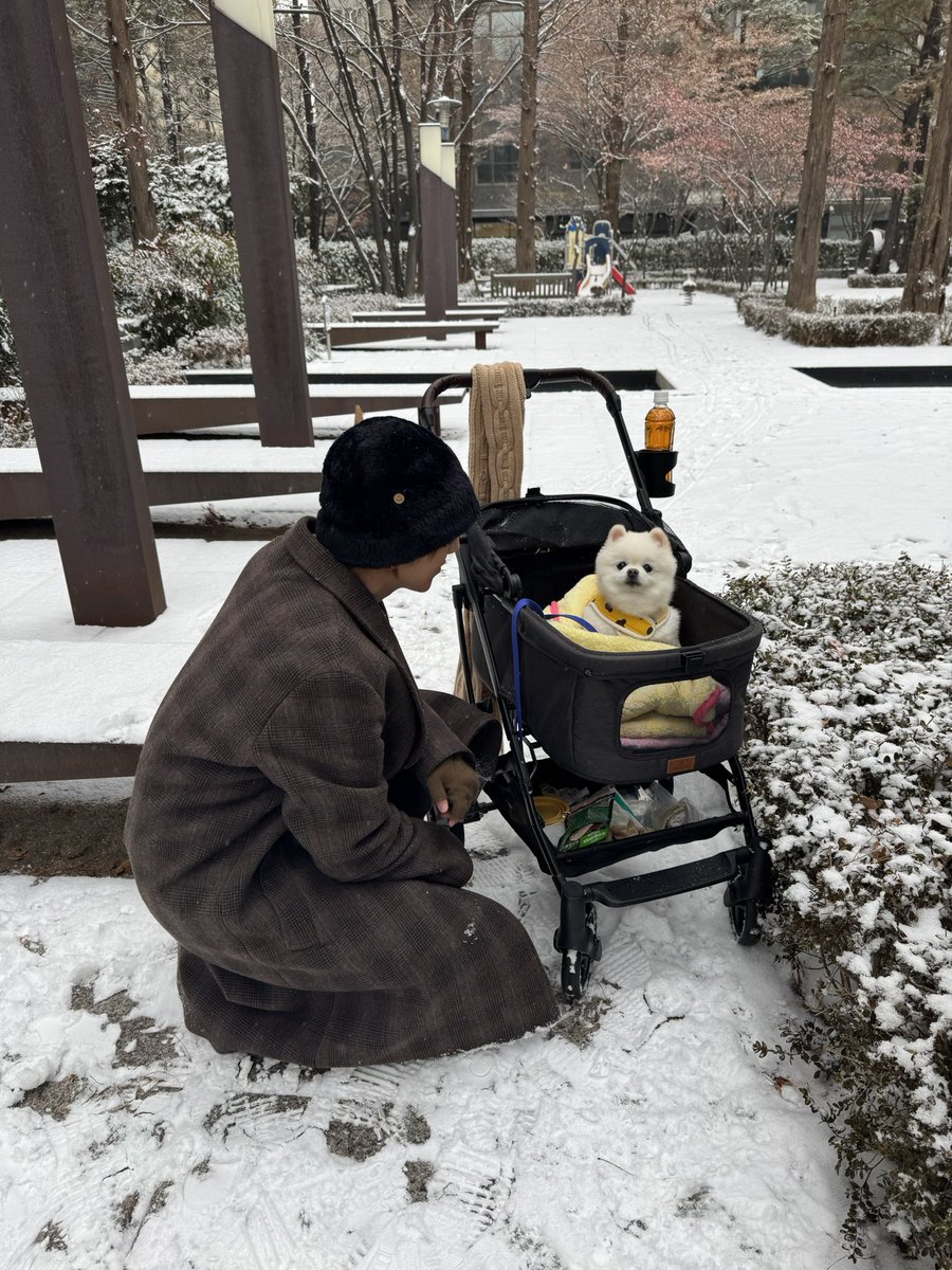 shfly3424's tweet image. 하늘나라에서 잘 지내고 있니 멜로야
네가 떠난 자리 위로
오늘은 하얀 눈이 천천히 내려앉았어
눈송이 하나가 손끝에 닿을 때
그 안에서 네가 나를 바라보는 듯해
말 없이, 하지만 또렷하게 .. 
가슴이 조용히 흔들리는 건
그리움이 오래 잠들지 못해서일까
아니면 네가 잠시 다녀간
온기의 흔적…