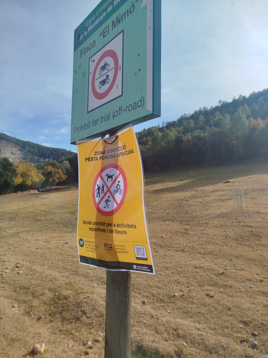 Poques paraules es necessiten per saltar-se les normes. Emprenyats amb el pastor per falta de... En fi!