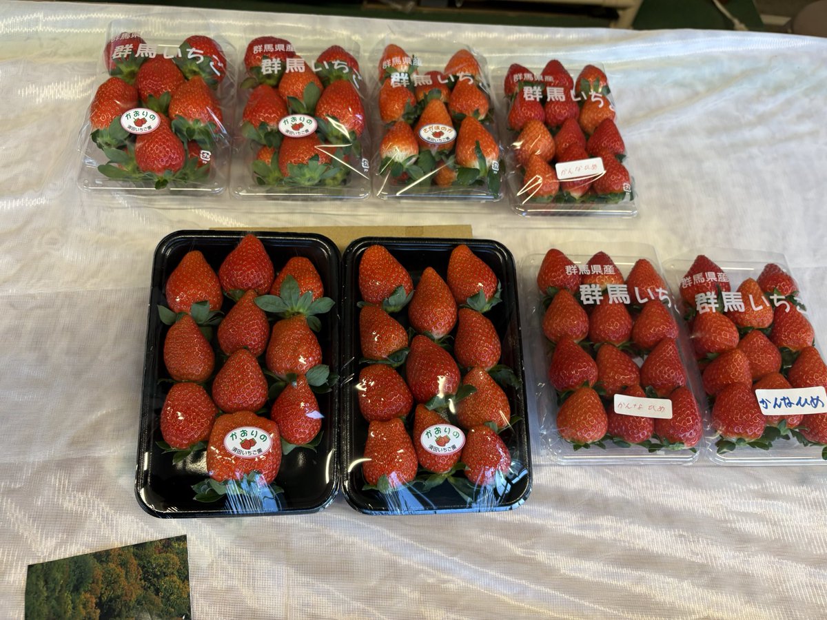 苺⭐︎SALE中様 いちご様 いちご いちご様 いちご① いちごページ 椿 Buy ZX 8000