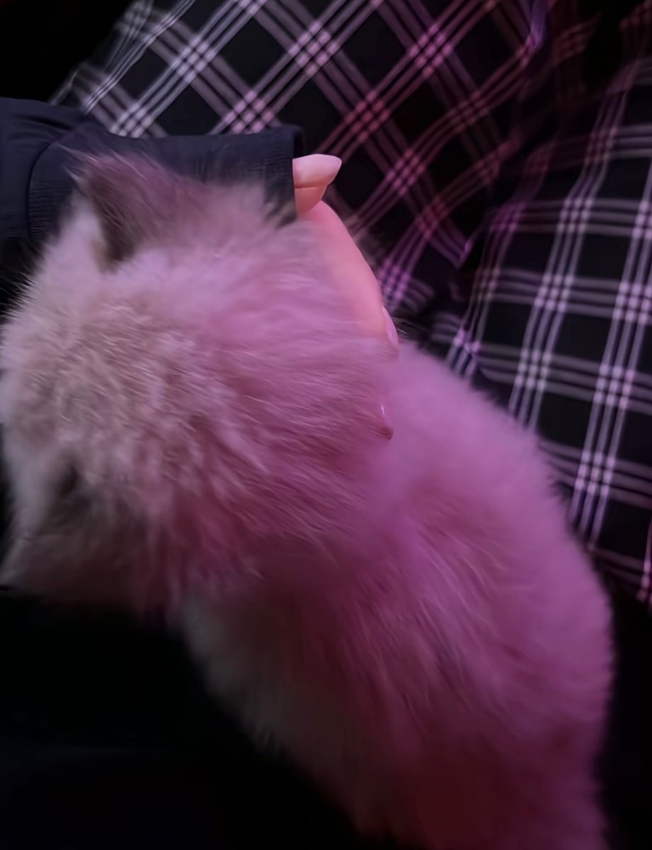 619 (@oft__77) on Twitter photo 