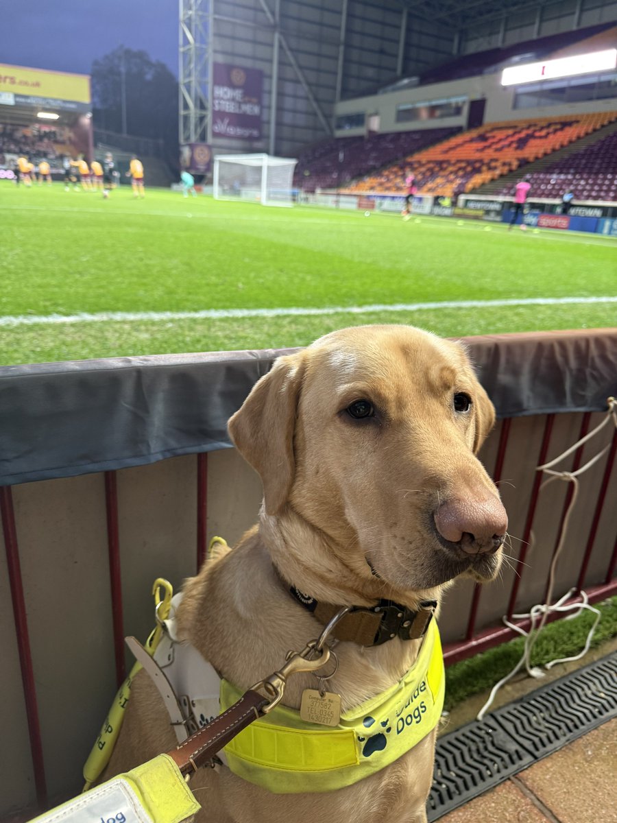 Thank you <a href="/MotherwellFC/">Motherwell FC</a> for having me and 🦮 Harry along at Fir Park today to celebrate International Day of Disabled People with you! 

Well done to the <a href="/MotherwellfcDSA/">Motherwellfc.DSA</a> and <a href="/TheWellSociety/">The Well Society</a> for organising a brilliant day for everybody

Everyone associated with Motherwell should