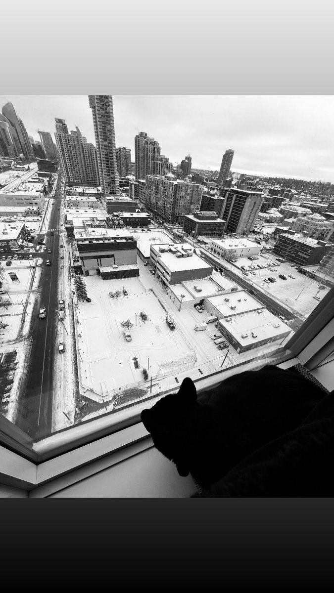 blabbit000's tweet image. Happy to be inside sitting right by the heat 🥰