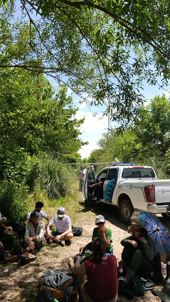 Hudsonista's tweet image. Nos llamaban a la policía 👻👻👻