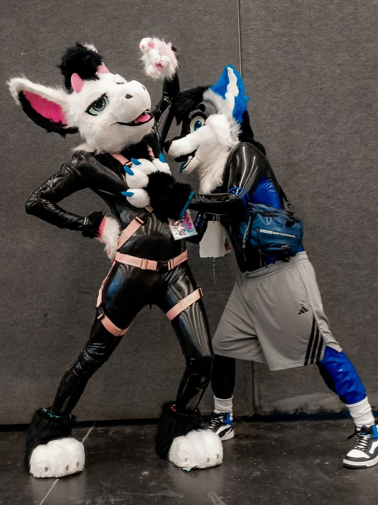 Sylderg's tweet image. Here is @KovieWusky's reward for being a good boy on this #SqueakySaturday ⚫✨🔵