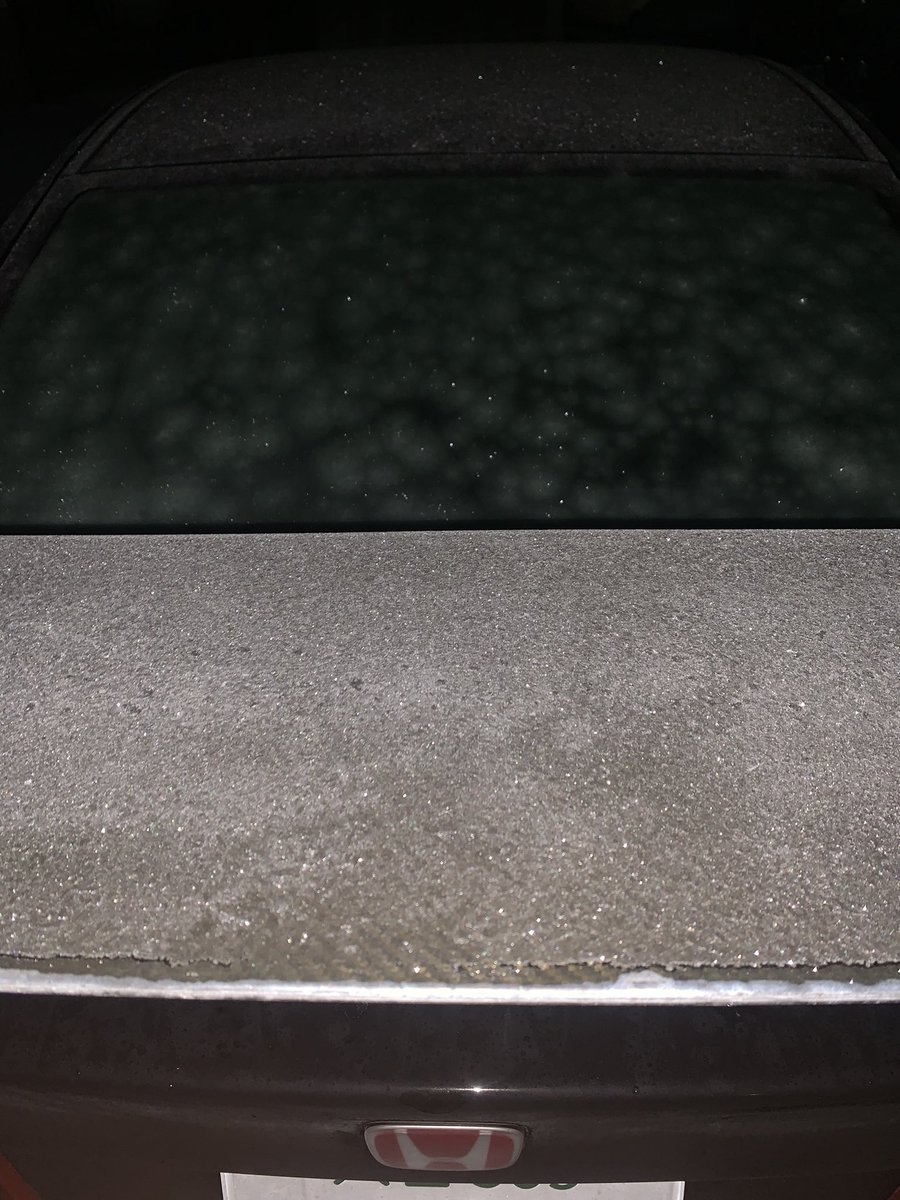 せつにゃん🐈 (@set5una) / Posts / X