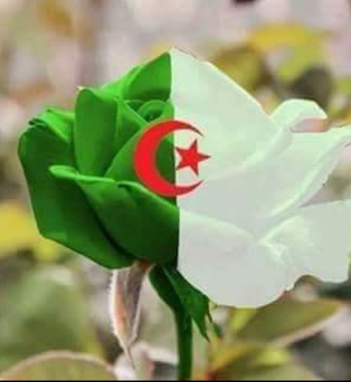 من القلب ألف  ألف الف مليون تريليون مبروك #للمنتخب_العراقي