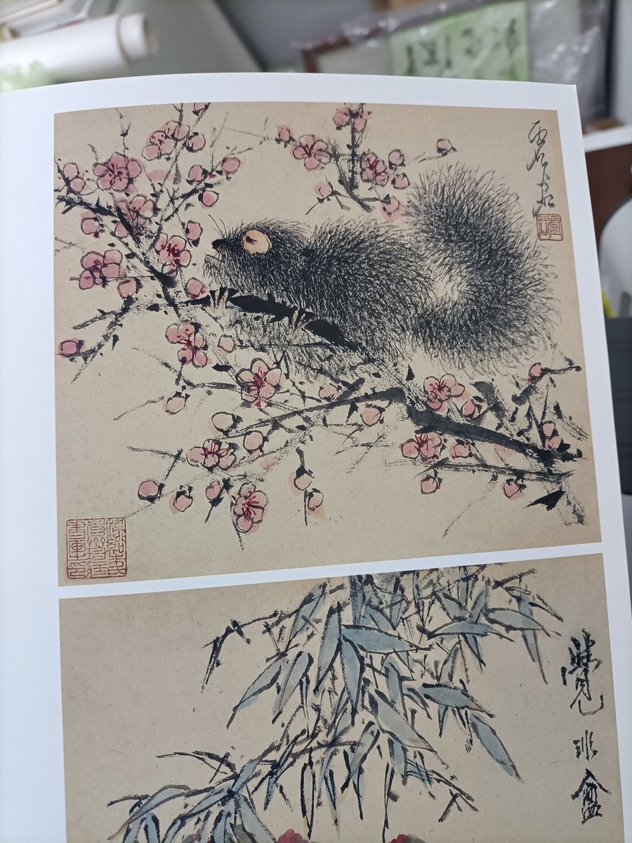 风无影??🦊 tweet media