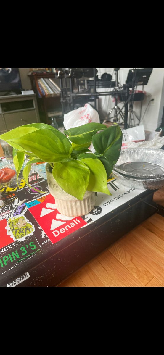 abby minion tweet media