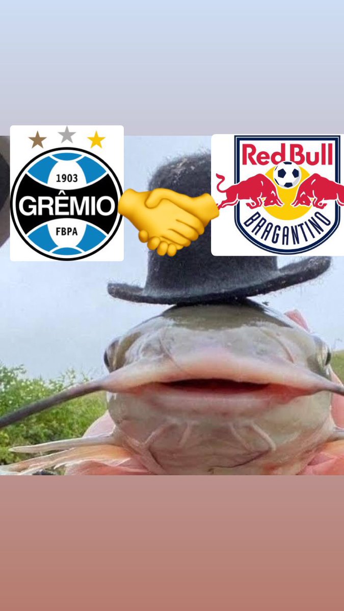 Bidu do grêmio tweet media