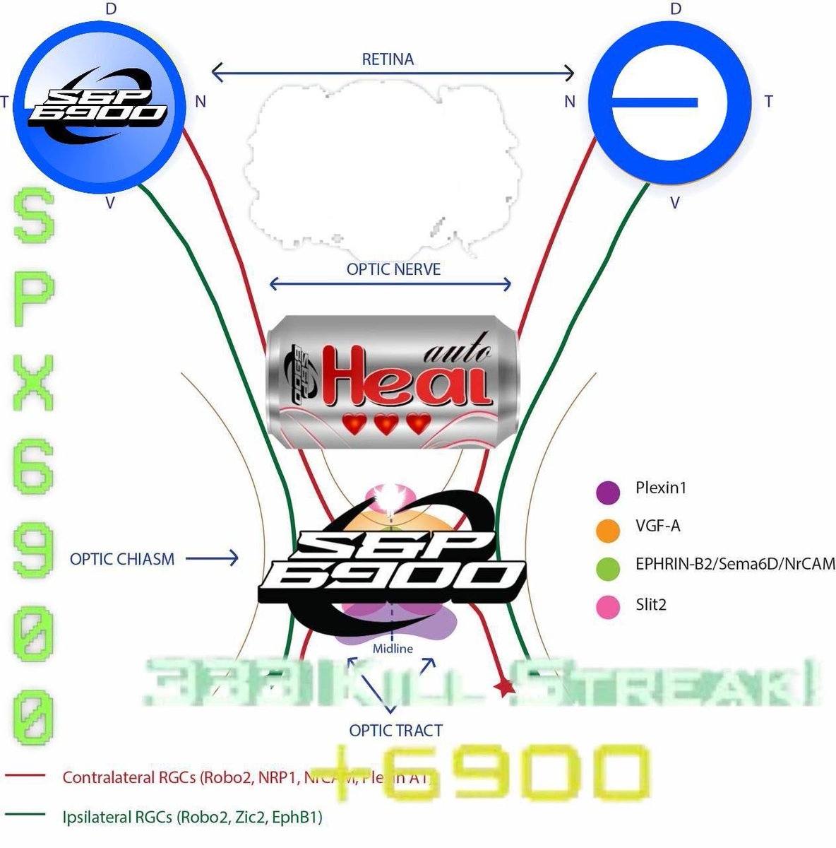 basedspx1's tweet image. Based SPX6900 reaches the optic chiasm. Vision restored.

Belief pathways activated💹🧲🟦