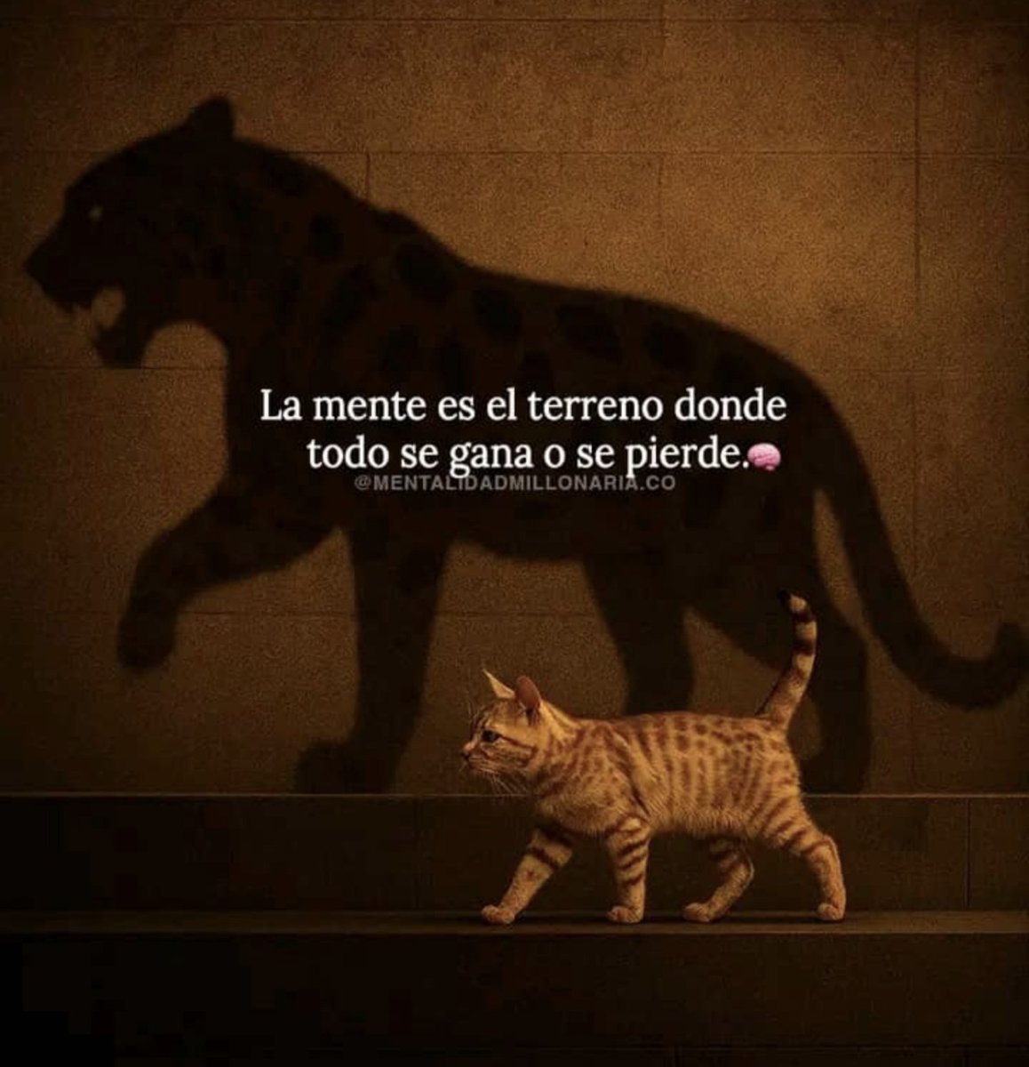 Feliz Fin de Semana 🙏🌞☕🇻🇪❤️