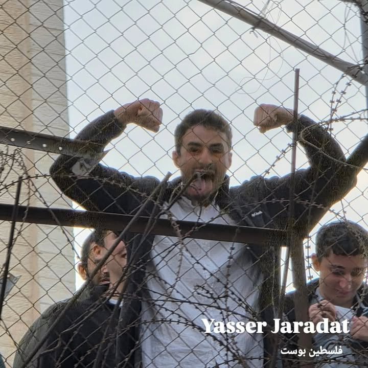 TIMES OF GAZA tweet media