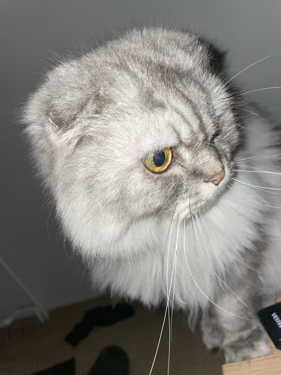 İyi geceler canlar
❤️
Fenerbahçenin Başakşehir maçında Selin Sayek Böke Başakşehlr - Fenerbahçe Mbaye Diagne Galatasaray Ahmet Çakar #benleman #ibfkvfb kişi Osmaniye'nin Bahçe lokma Yusuf tekin rakı