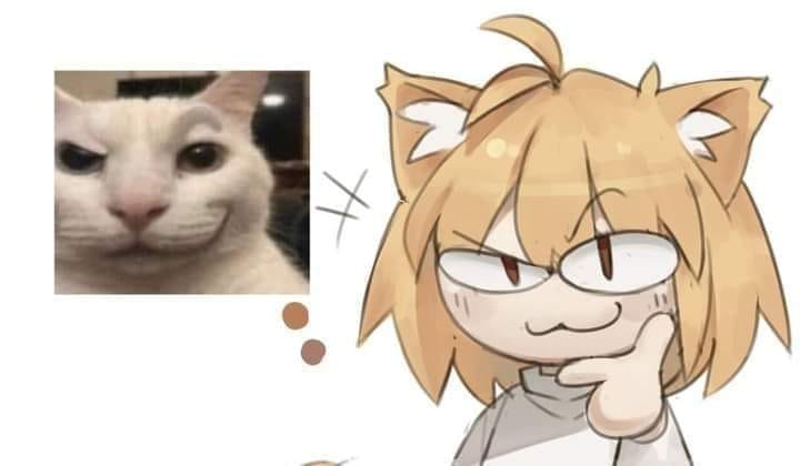 Disruxel tweet media