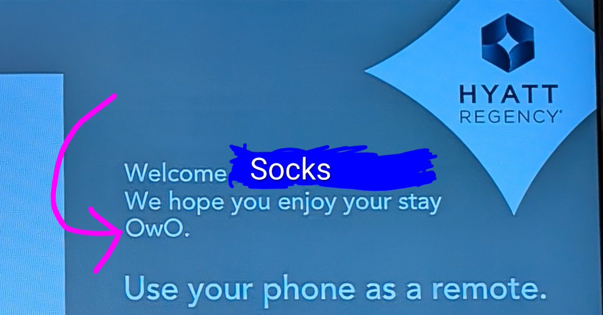 🦝 Socks 🐭 tweet media