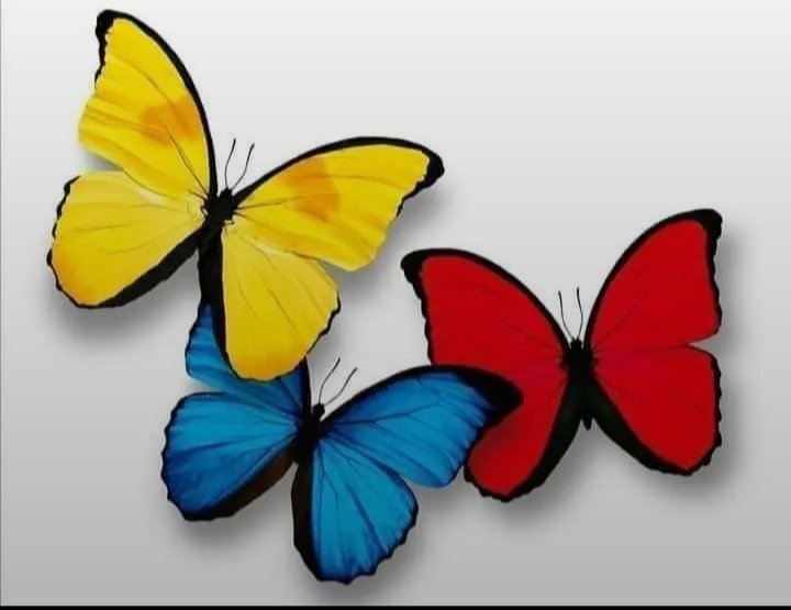 Cristian Castaño tweet media