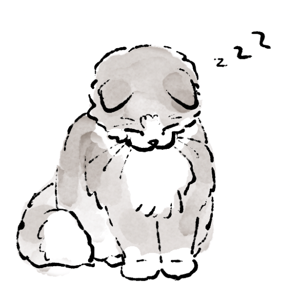 kayiiindayo's tweet image. 