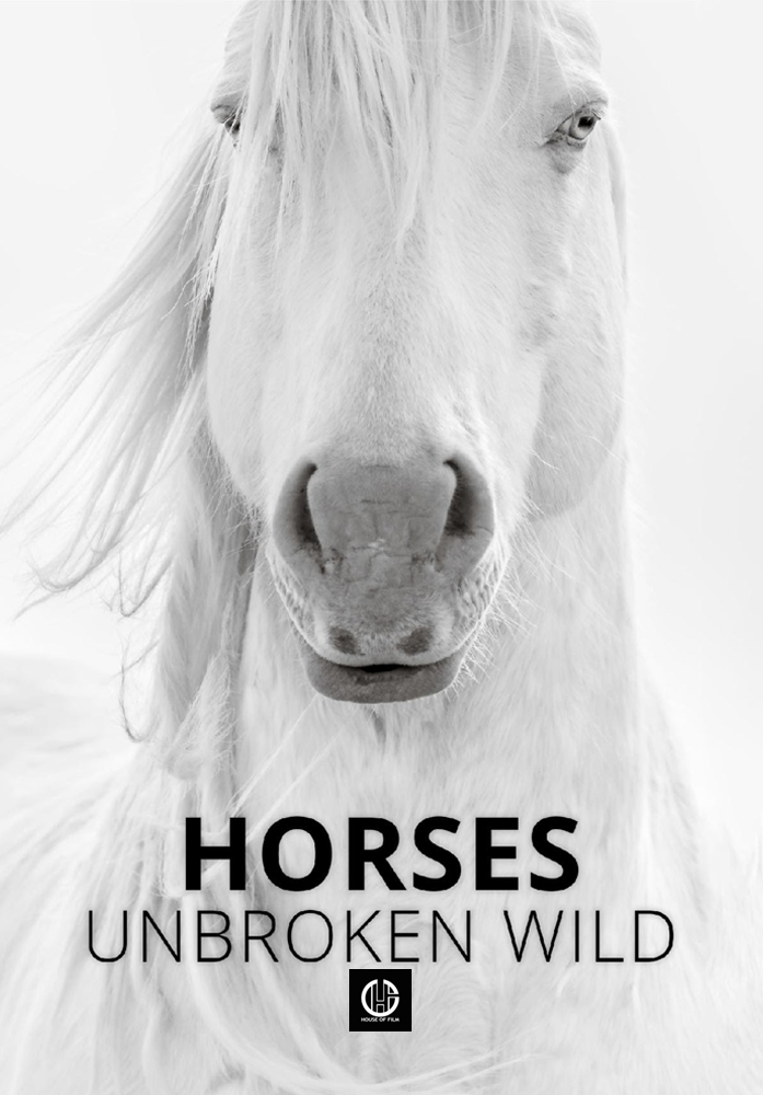 HORSES, UNBROKEN, WILD
The life and photography of Maria Marriott embody this truth. 

For more information contact us:

Teresa > Distribution@houseoffilm.com
Ava B  > AvaB@houseoffilm.com

#houseoffilm #MariaMarriott #photographer #horses  #movie #documantary