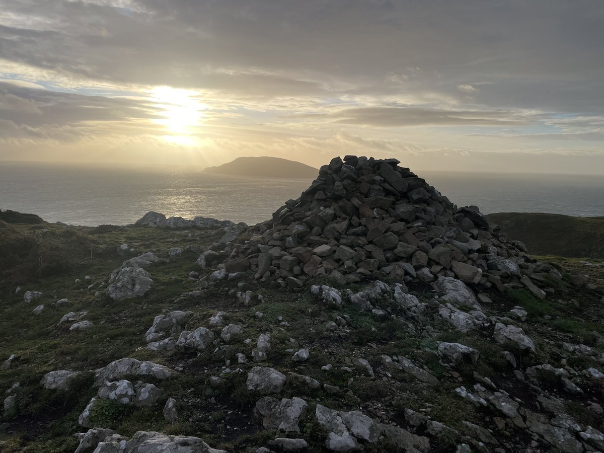 Elaine ✨ tweet media