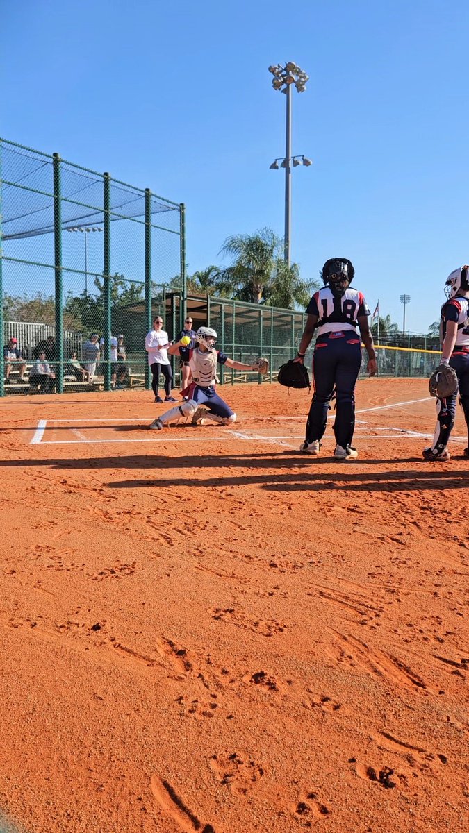 Savannah Taffolla tweet media