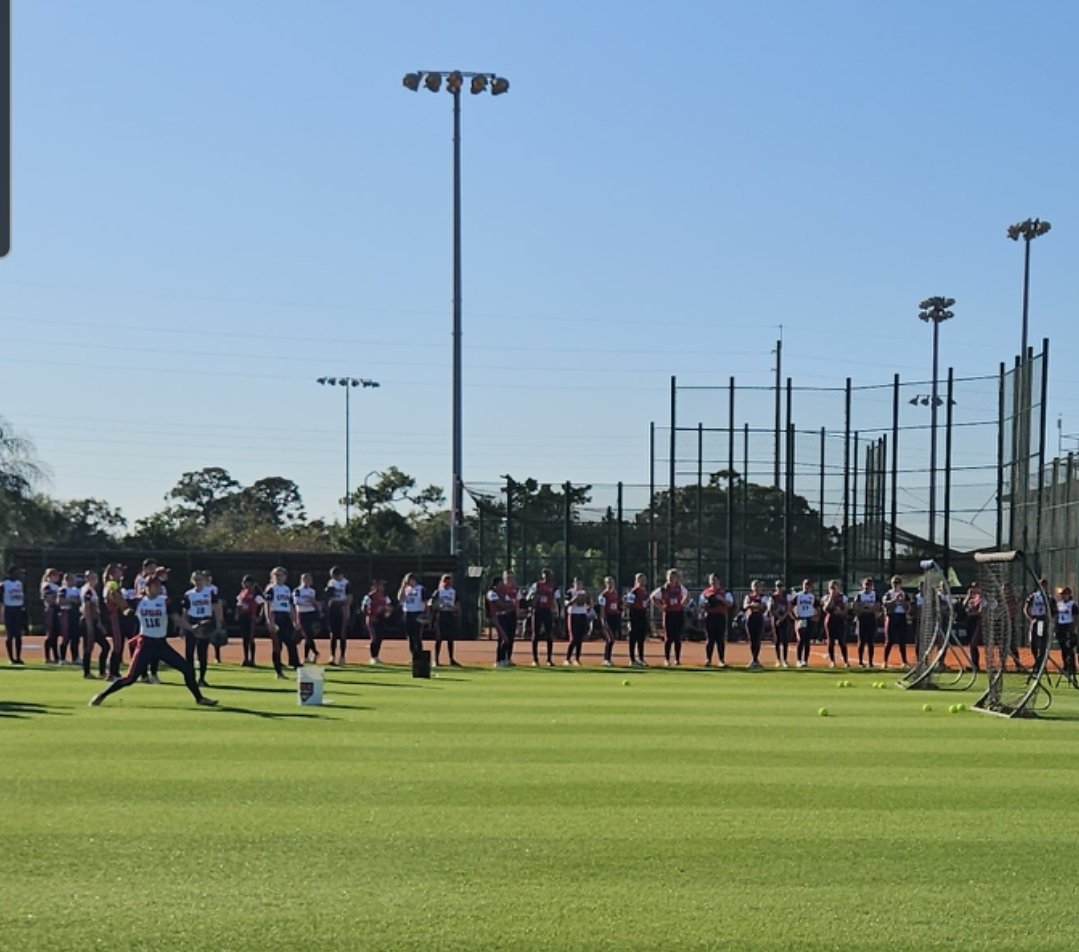 Savannah Taffolla tweet media