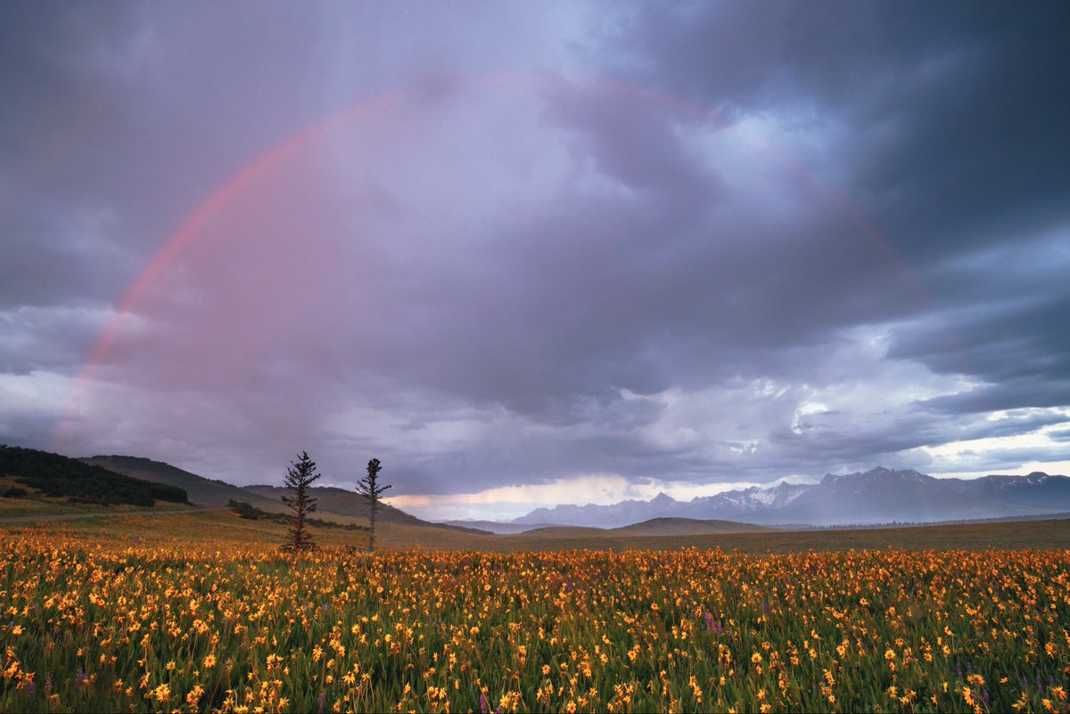 CodyMayer22's tweet image. pictures that look like paintings