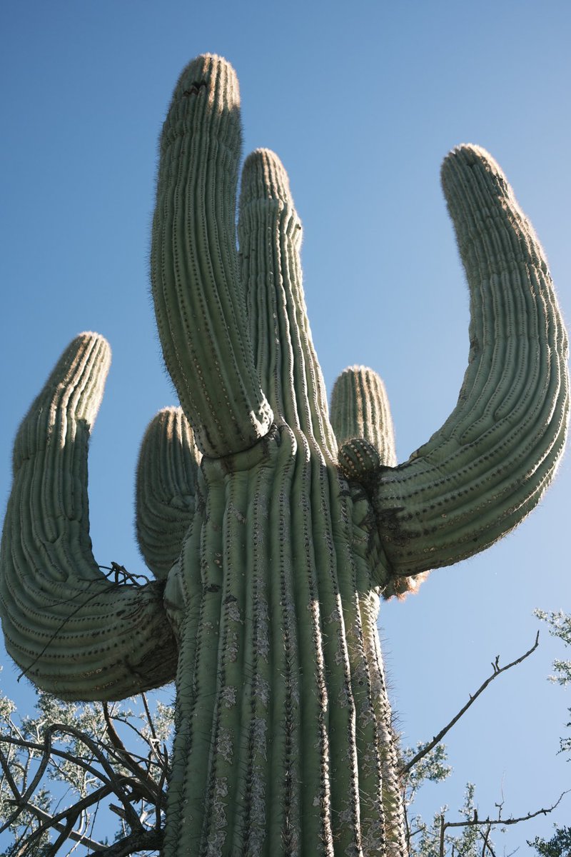 Alessankele's tweet image. Whether it's the warmth inside or the desert view outside, both bring a sense of calm. Sit back, enjoy a glass of wine, and embrace this peaceful moment.