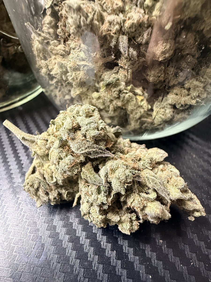 GurrillaGrowman's tweet image. Let’s do this again another Christmas 3.5 giveaway!!
Here’s the rules  
1. Must follow me and @SamanthaNe68103 
2.tag 3 Growmies or stoner homies 
3.like &amp;amp; RT 
JUST THAT SIMPLE TO GET FREE WEED !!
IF YOU FOLLOW AND UNFOLLOW ONLY FOR THE GIVEAWAY YOU WILL BE…