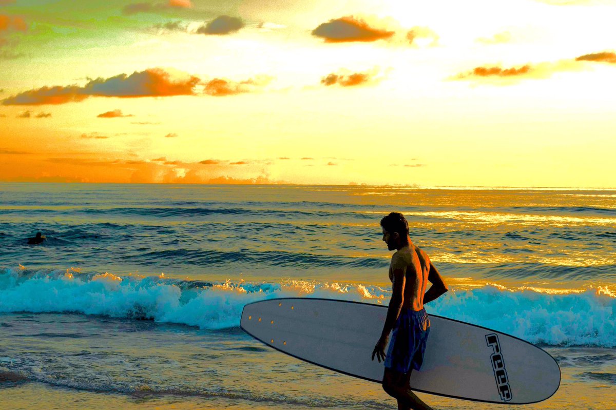 Wie… is… de mol? 

#widm