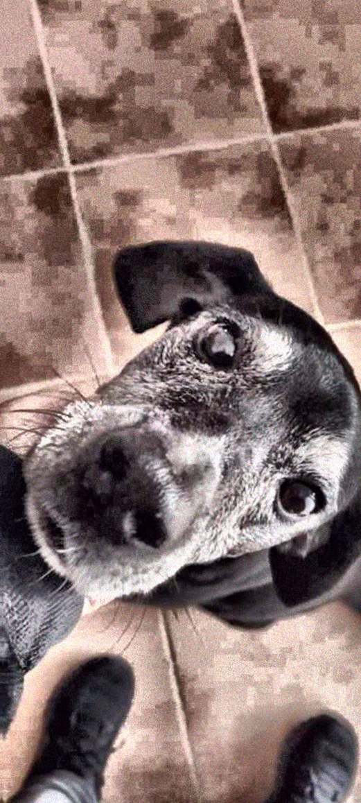 HeinersHeiner's tweet image. Just caught up on the latest issue of Vanity Fair, and the features are incredible! The insights into culture and politics never disappoint. Definitely a must-read for anyone interested in current affairs.