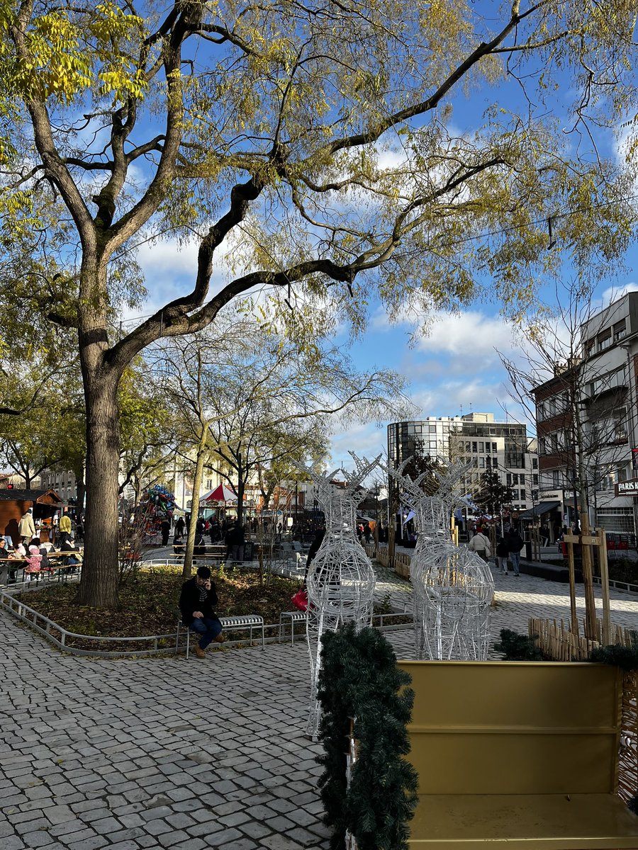 Loline Bertin tweet media