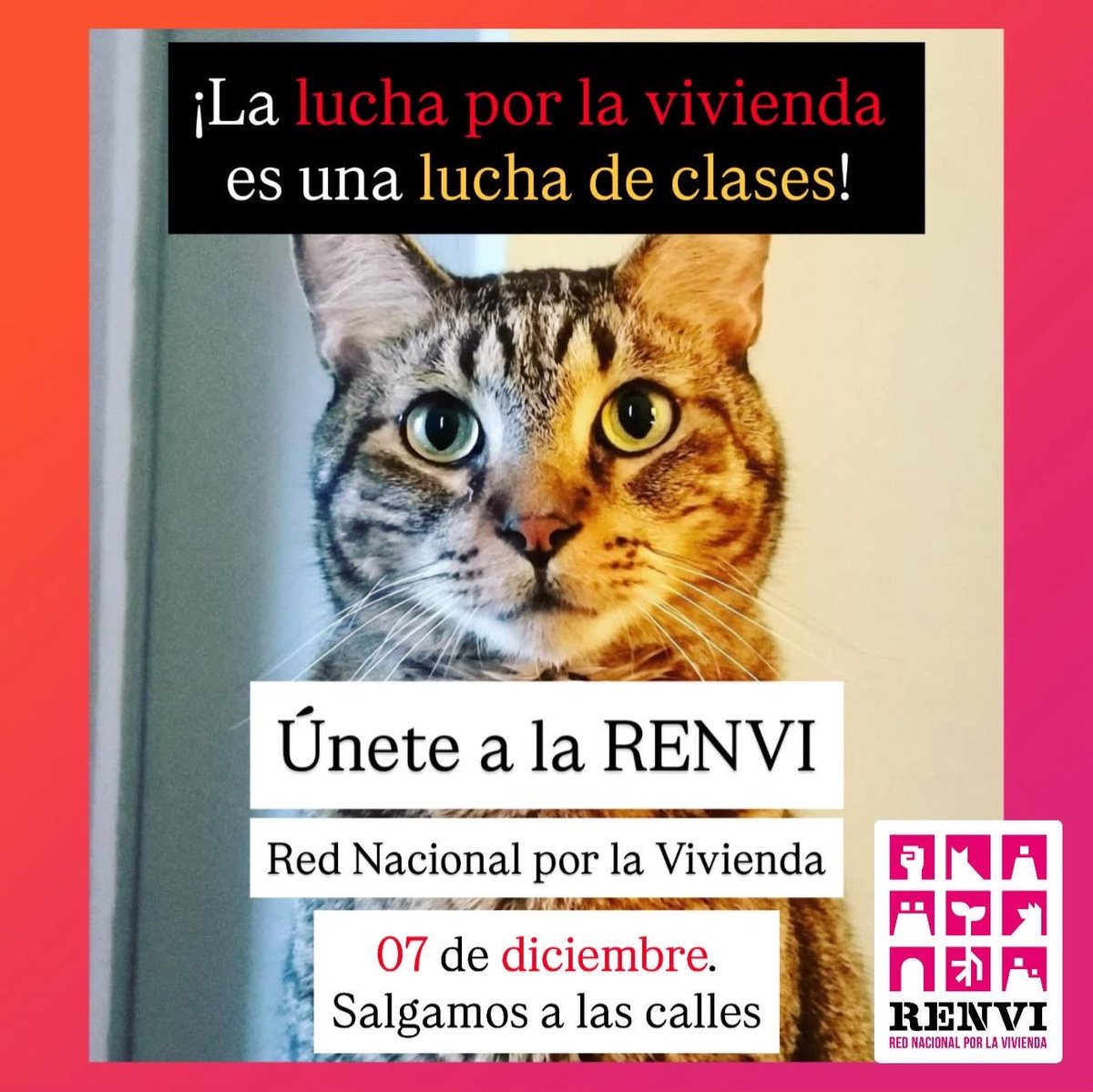 Miau. Este domingo 07 de diciembre será la primera acción y protesta pública de la RENVI (Red Nacional por la Vivienda), de forma simultánea en CDMX, GDL y MTY. Únanse. Compartan. Participen. La lucha por la vivienda es una lucha de clases, y sólo la ganaremos si nos organizamos