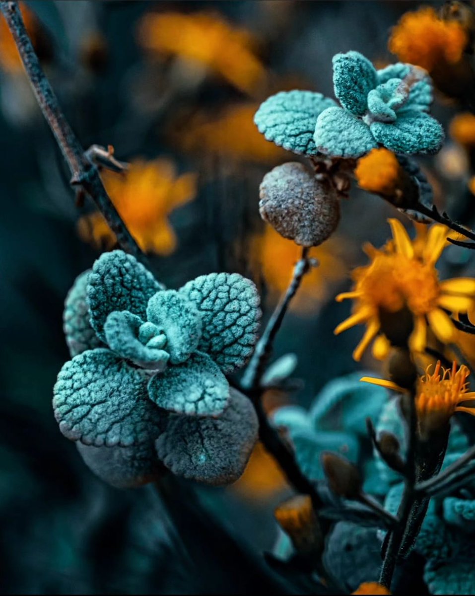 Çok konuşmak insanı itibardan düşürür.
#GeceyeBirSöz