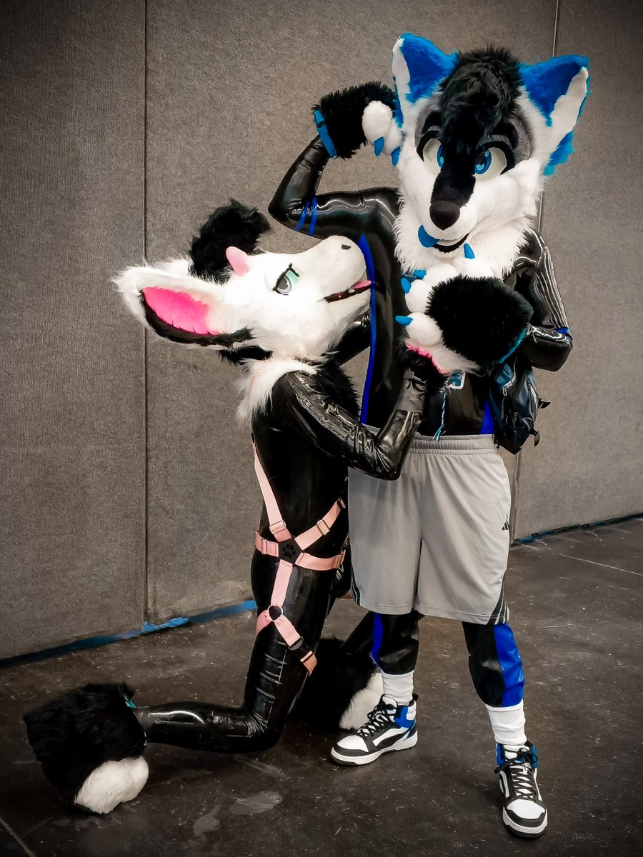 KovieWusky's tweet image. Maybe, but he couldn't resist when he saw a Strong Wusky... I don't know why this always happens when I flex in front of the camera :0
•
🐉: @Sylderg
•
#SqueakySaturday #Latexfur #Rubberfur #Shinysaturday