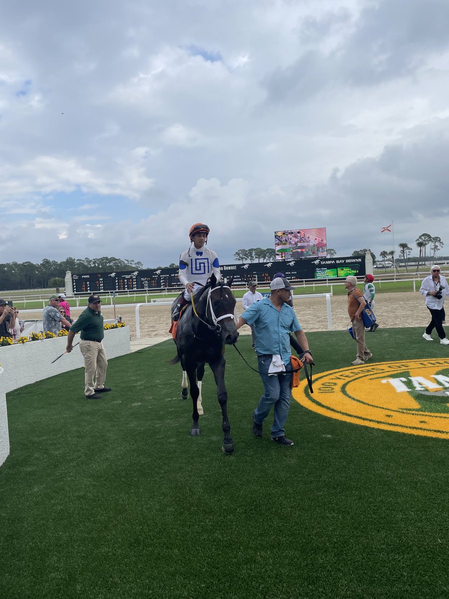 Kevin O'Keeffe tweet media