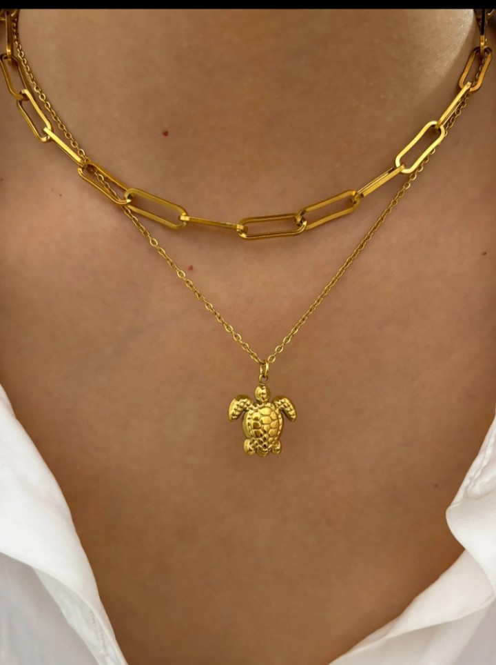 Turtle Lovers tweet media