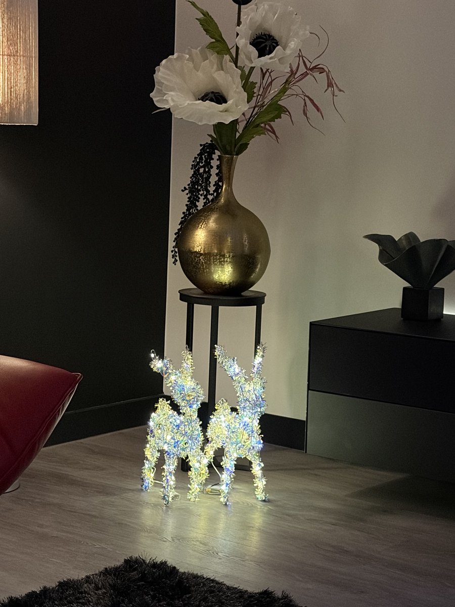 RFBotenga's tweet image. Het staat weer gezellig #kerstboom