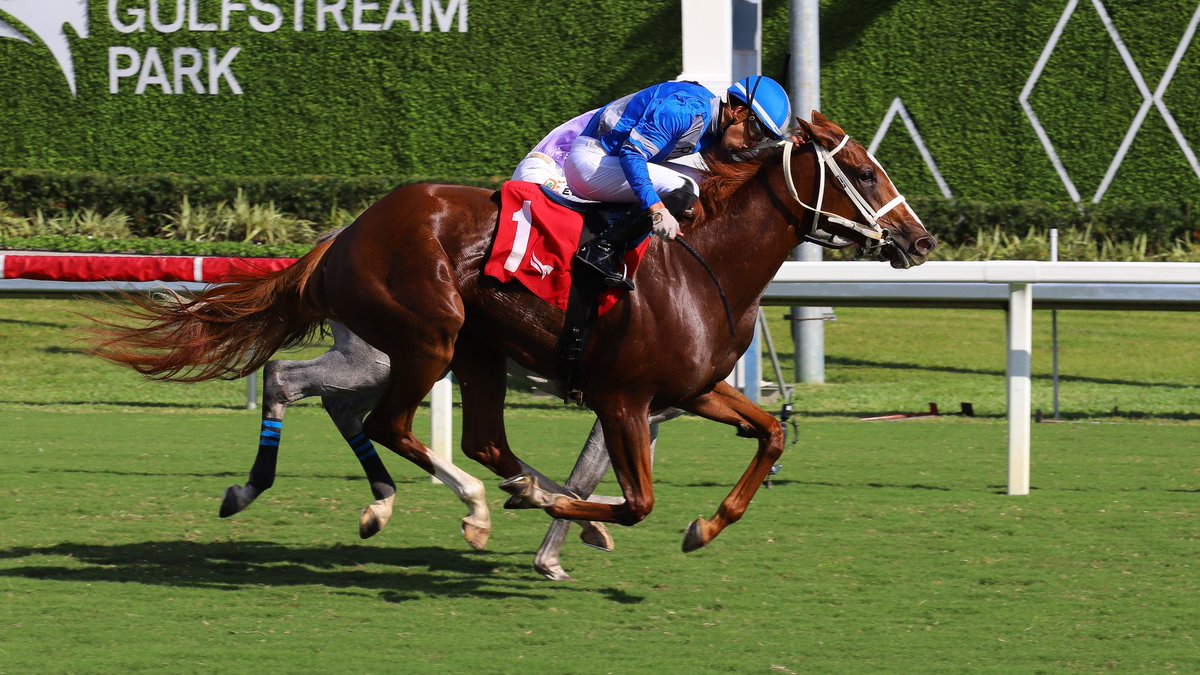 Dan Preiss tweet media