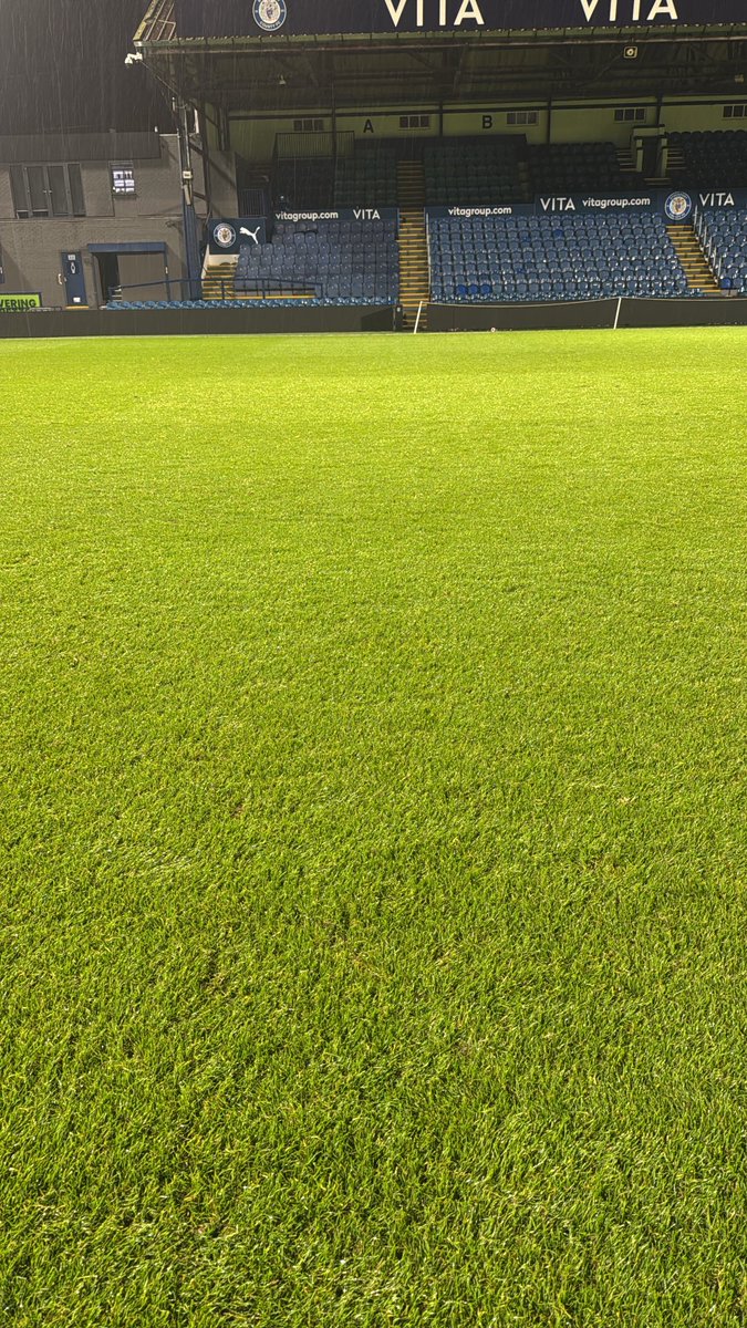 Liam Cash tweet media