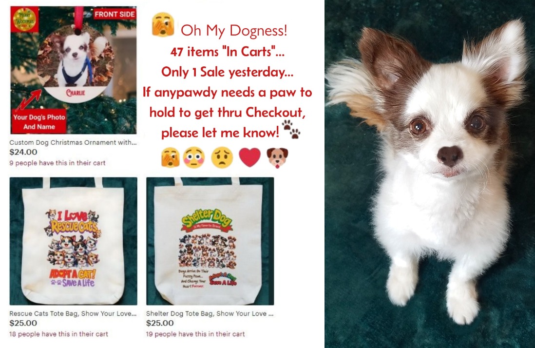 CharliePawsUp's tweet image. So worried...
Looks like it might be da worst Christmas eva for me &amp;amp; Mama.😟
We know times iz hard.
But if yoo buying ANY Holiday Gifts, please consider getting jus ONE 🎁 from Mama's Store. She has bestest quality Tote Bags in CUTEST designs!🎄
RETWEET🙏
🎅❤️🐶
#dogsofX #ZSHQ