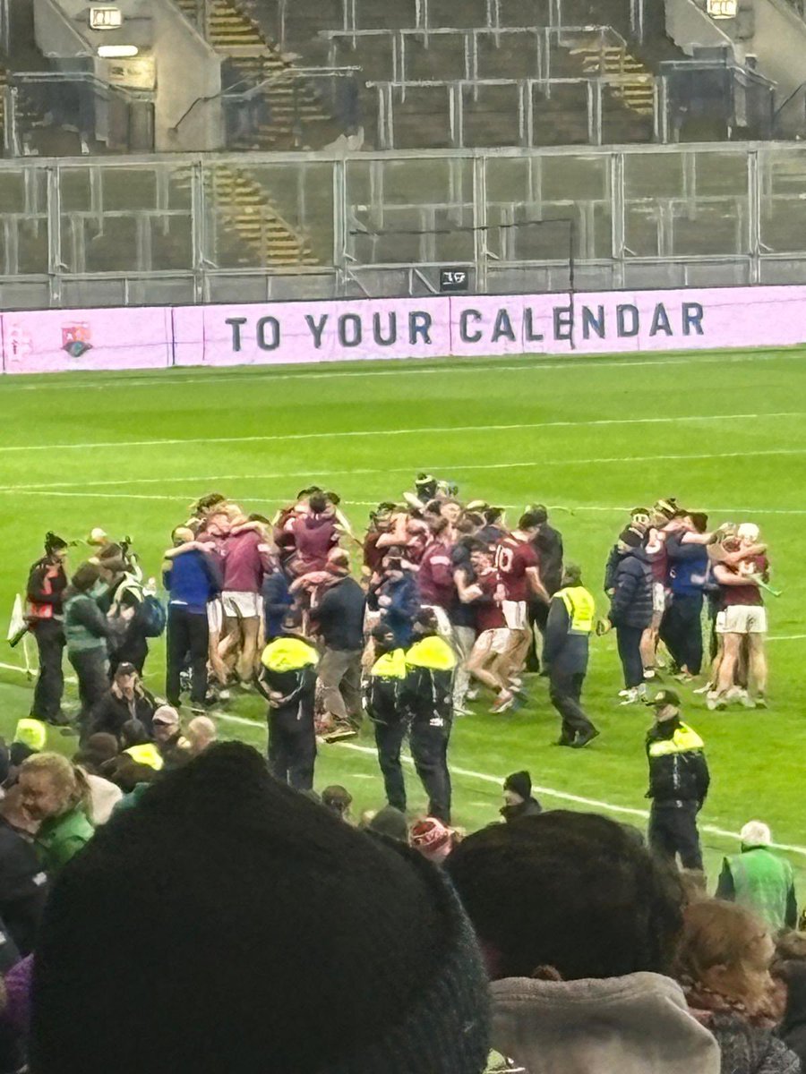 The Wexford Hurling Podcast tweet media