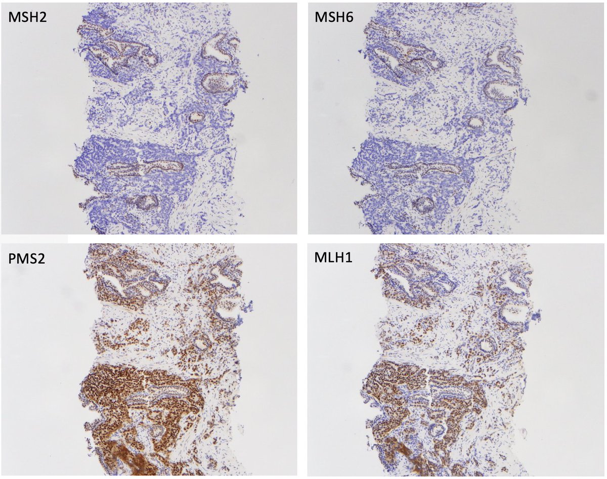 Keyan Salari tweet media