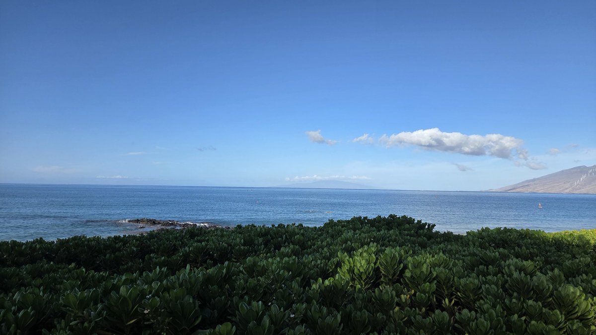 spdfrkmike's tweet photo. Paradise https://t.co/QpgFPwbD1x