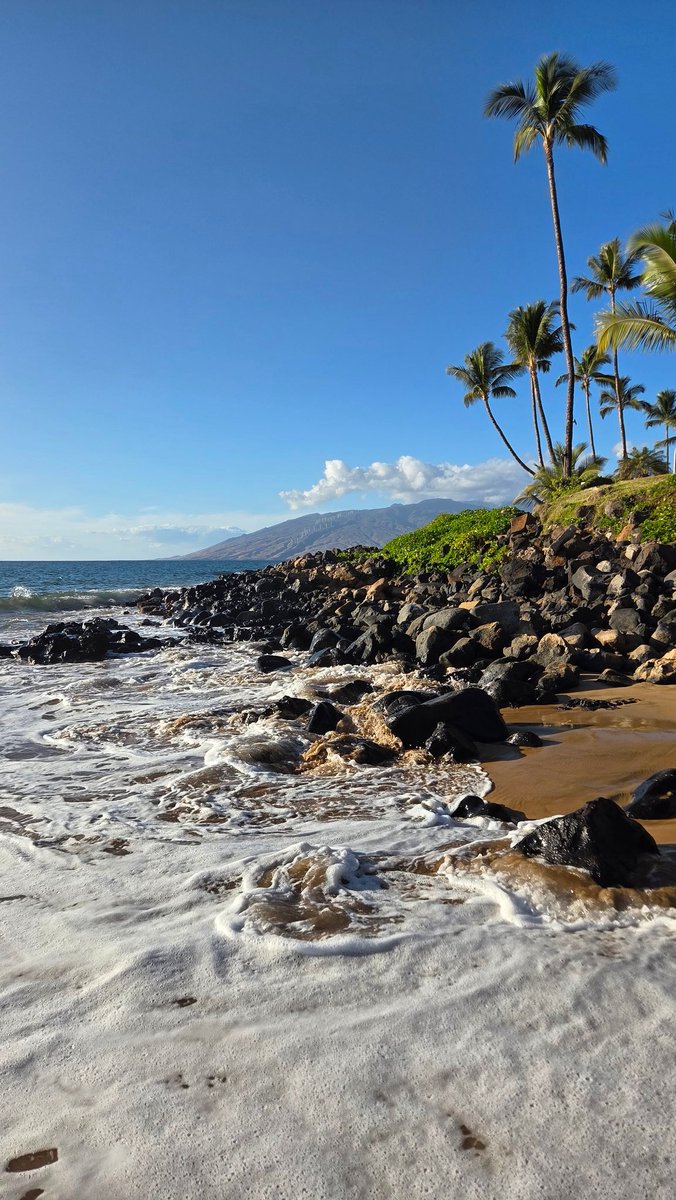 spdfrkmike's tweet photo. Paradise https://t.co/QpgFPwbD1x