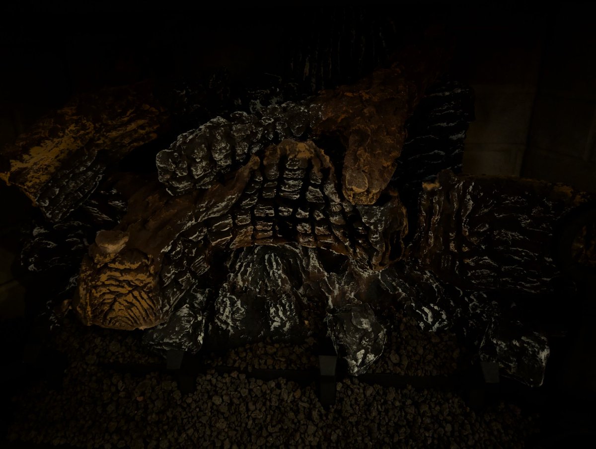 <a href="/BankXRP/">𝗕𝗮𝗻𝗸XRP</a>