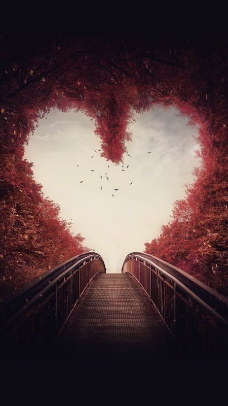 Yaşadığımız her şeyin geçici olduğunu bilsek de,
Kalıcı izler taşıyoruz yüreğimizde... 

            #Geceye