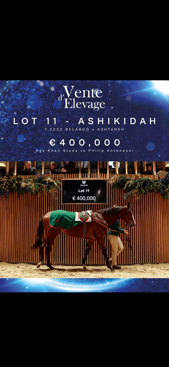 Belardo ile bir hayalin olsun ⁦<a href="/ADEM_0104/">𝐀𝐃𝐄𝐌 𝐘𝐈𝐋𝐃𝐈𝐙</a>⁩ ⁦<a href="/refikyigitt/">Refik Yiğit</a>⁩ ⁦<a href="/ErayHazar01/">ERAY HAZAR</a>⁩ ⁦<a href="/eraybalci_53/">Eray Balcı</a>⁩ ⁦<a href="/erhan/">erhan</a> Yıldız ⁦<a href="/01goko/">Gökhan Ormancı</a>⁩ ⁦<a href="/smlbzkrt/">İsmail Bozkurt</a>⁩ ⁦<a href="/BelardoStallion/">BELARDO by Lope de Vega</a>⁩ @vedatdincaslan ⁦<a href="/cantinazhakan/">Hakan Cantınaz</a>⁩ <a href="/ramazan/">Muhammed Topcu</a> Taşdelen