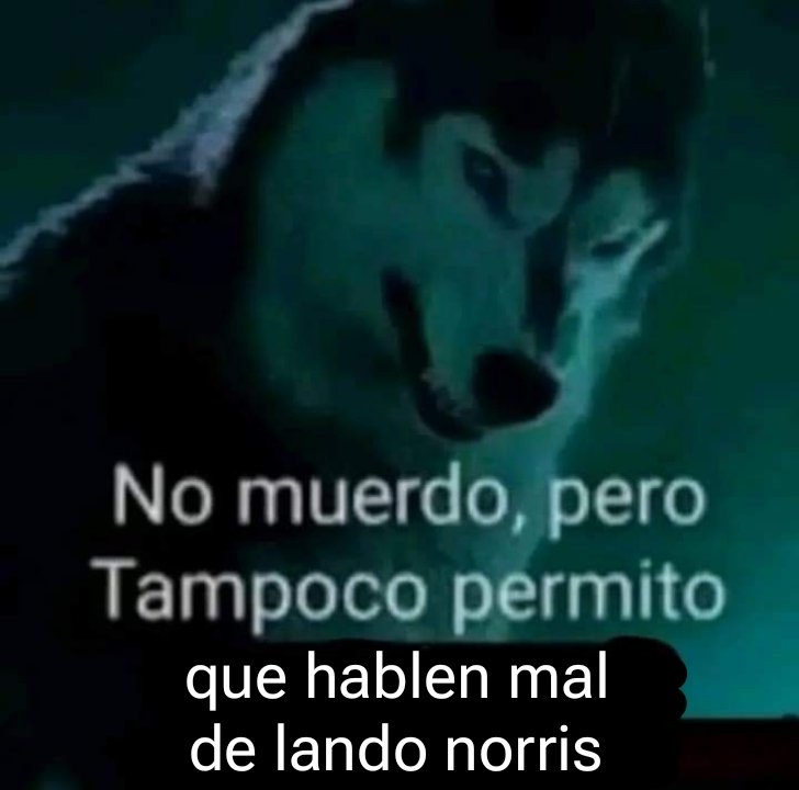 yo